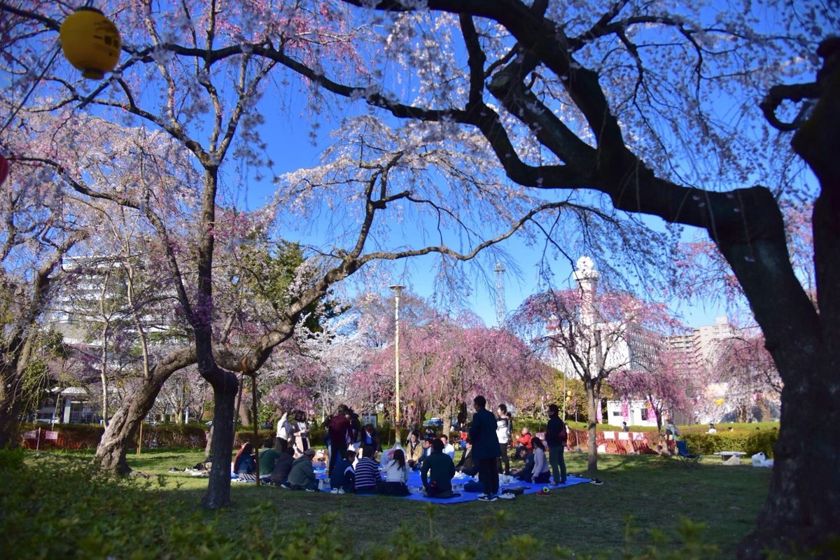 Tsutsujigaoka Park, Сендай: лучшие советы перед посещением - Tripadvisor