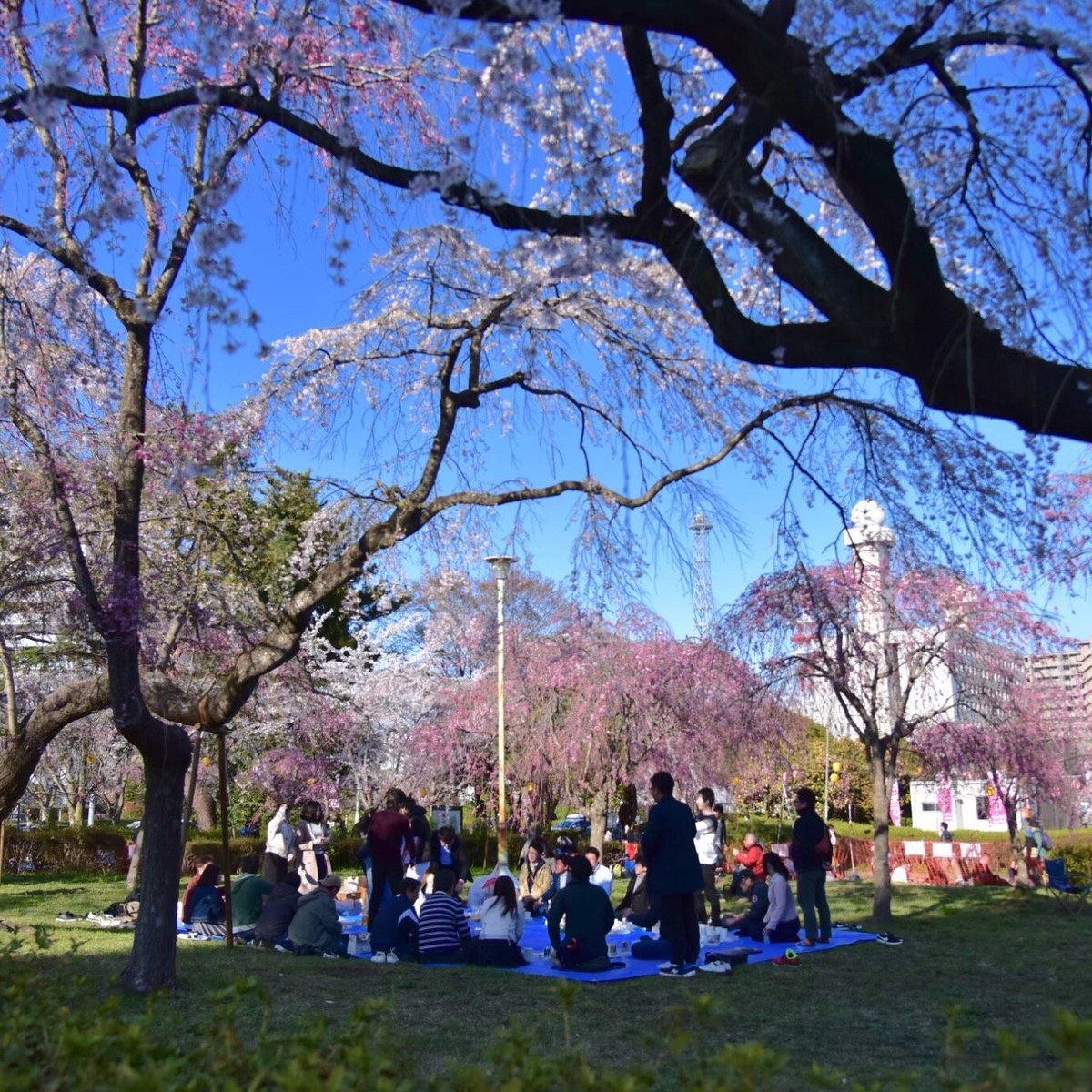 Tsutsujigaoka Park, Сендай: лучшие советы перед посещением - Tripadvisor