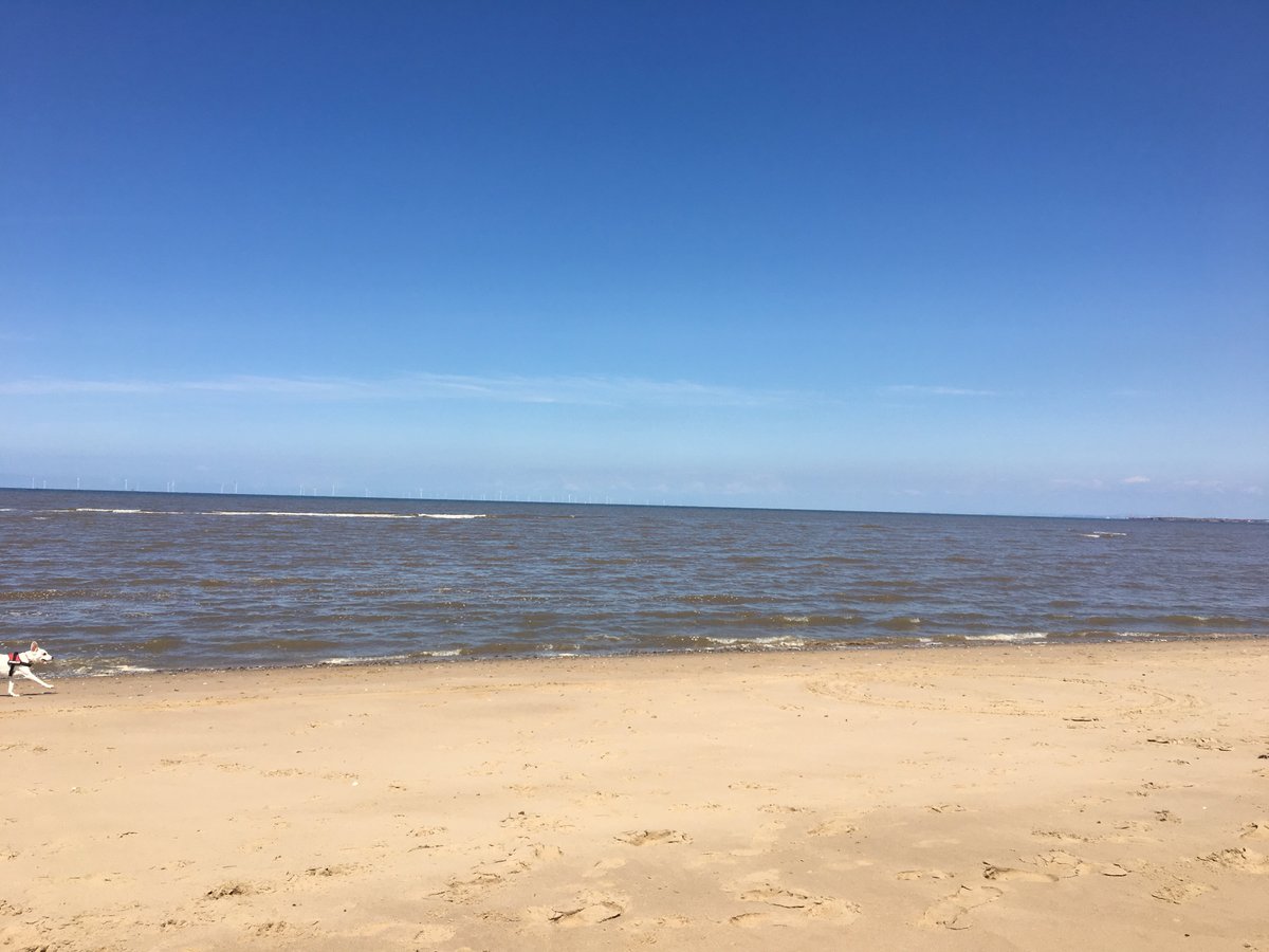 can you take dogs on talacre beach