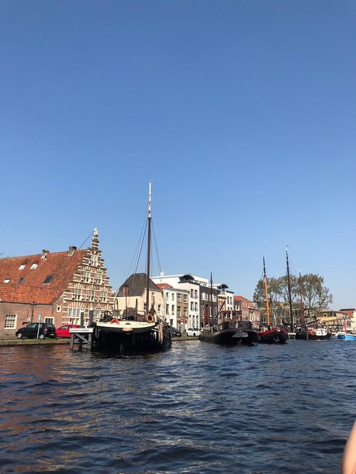 Leiden review images