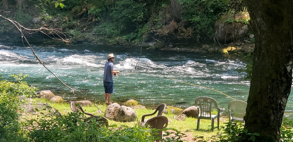 CADDISFLY RESORT LLC Campground Reviews (Oregon/McKenzie Bridge)