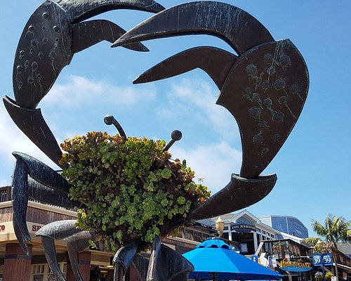 Things to Do in Fishermans Wharf, San Francisco