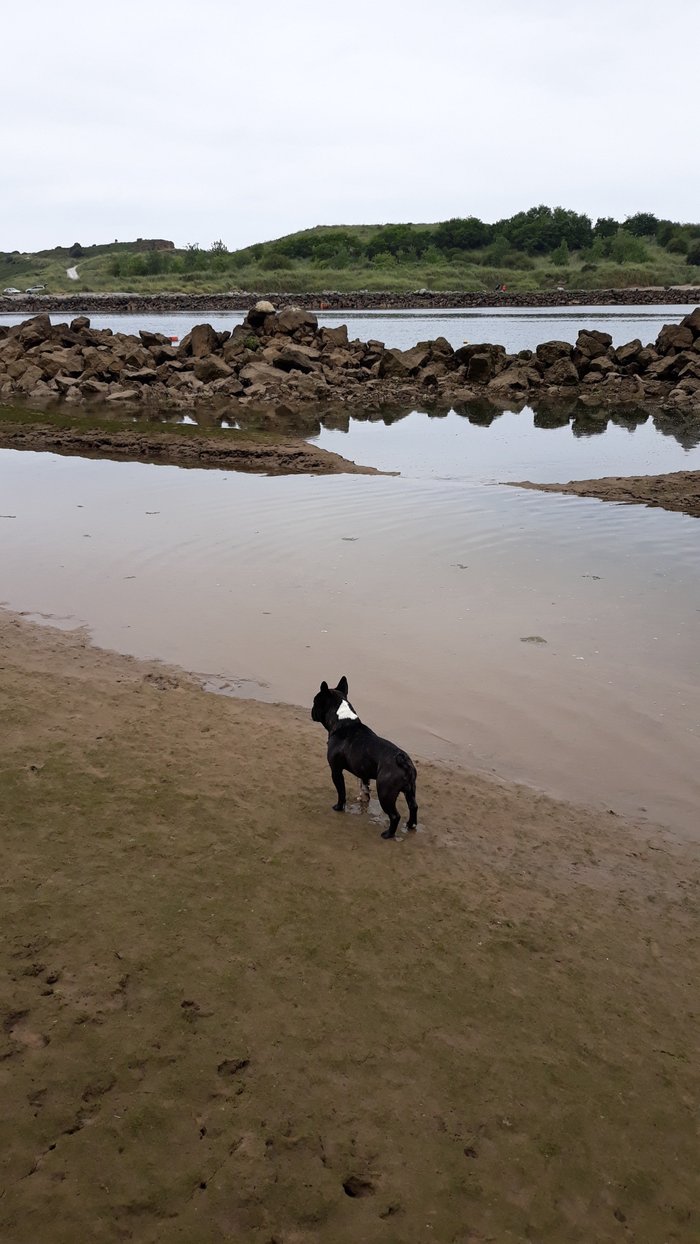 Imagen 4 de Playa La Ribera