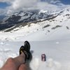 nrjohns1