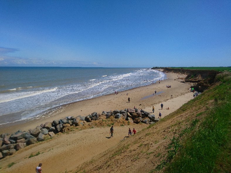 can dogs go on beaches in norfolk