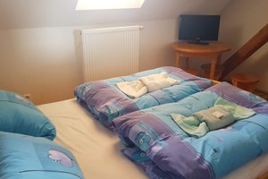 Room & Suite