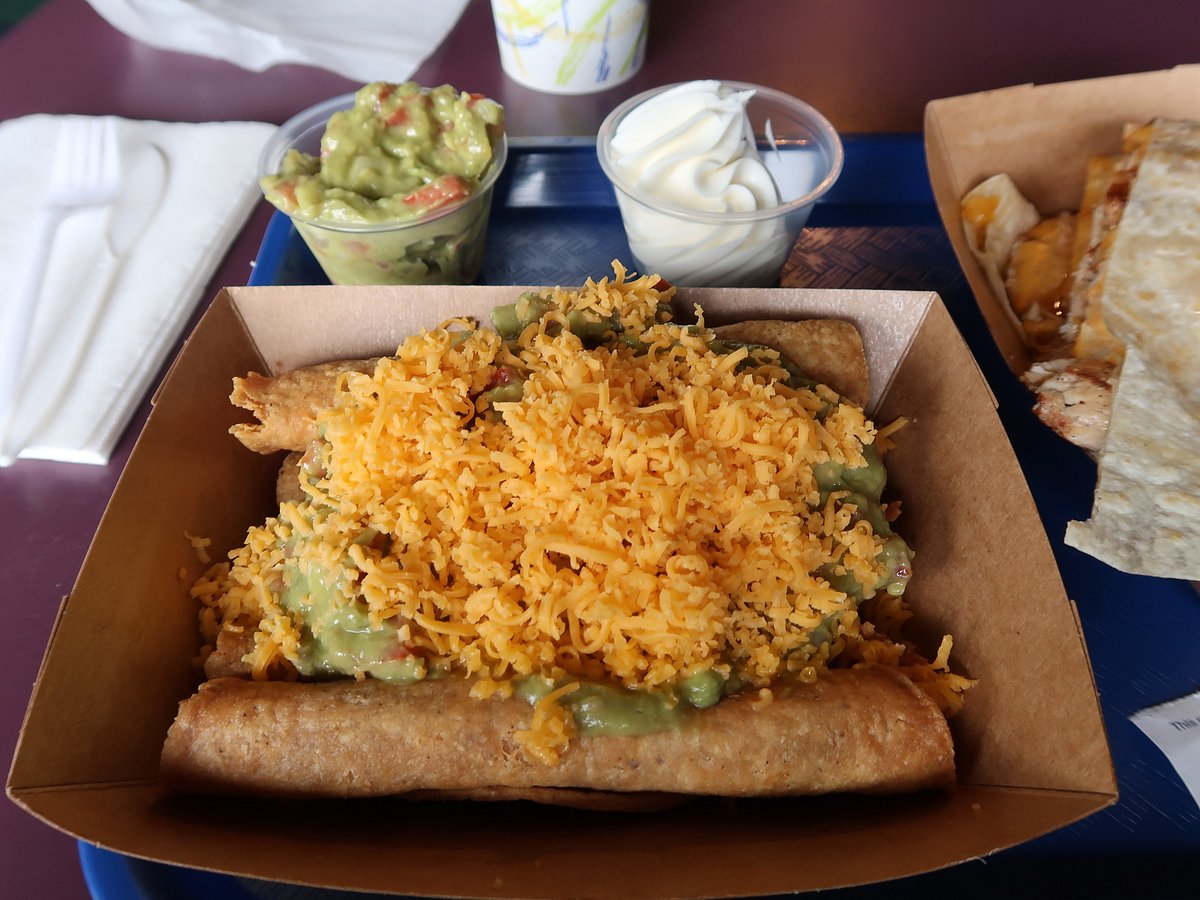 TACO SURF, San Diego - Mission Beach - Fotos & Comentários de