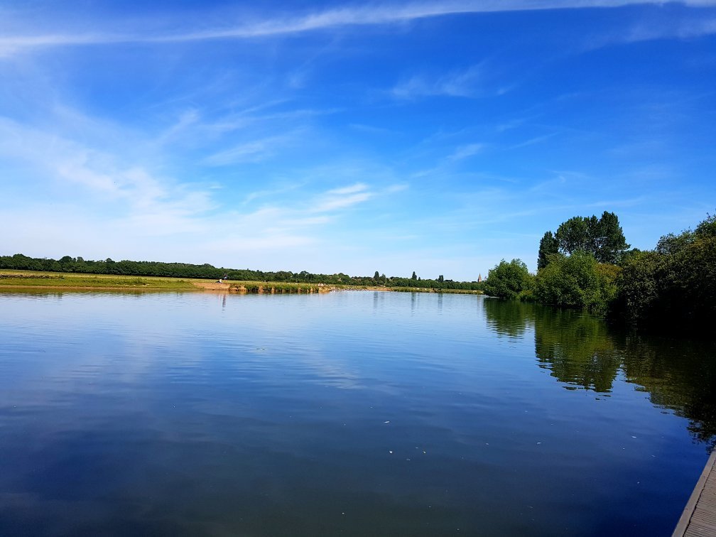 Picture of Port Meadow