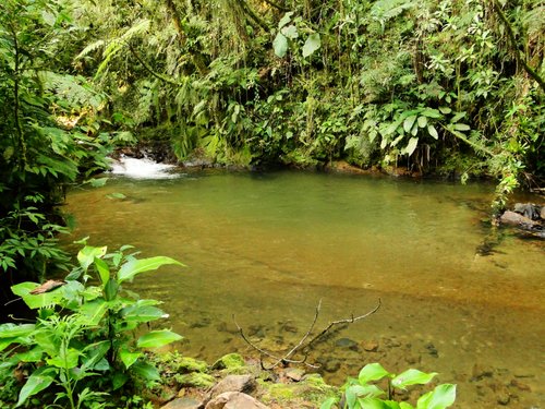 Schroeder, SC, Brasil em Schroeder: 2 opiniões e 2 fotos