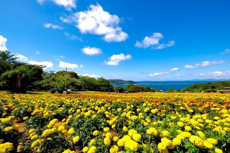 Nokonoshima Island image