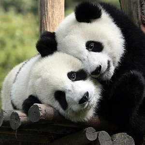 The 10 Best Shanghai Hiking Camping Tours With Photos Tripadvisor The 10 Best Shanghai Hiking Camping Tours With Photos Tripadvisor