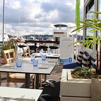 Marina Views