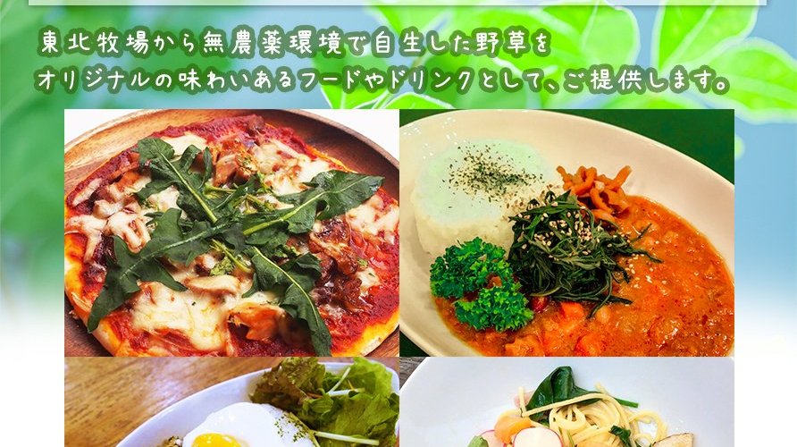 サクラカフェ　無農薬野草料理メニュー