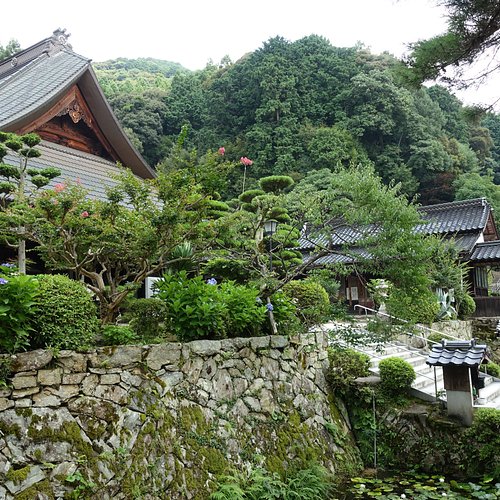 THE 15 BEST Things to Do in Yamaguchi - 2023 (with Photos) - Tripadvisor