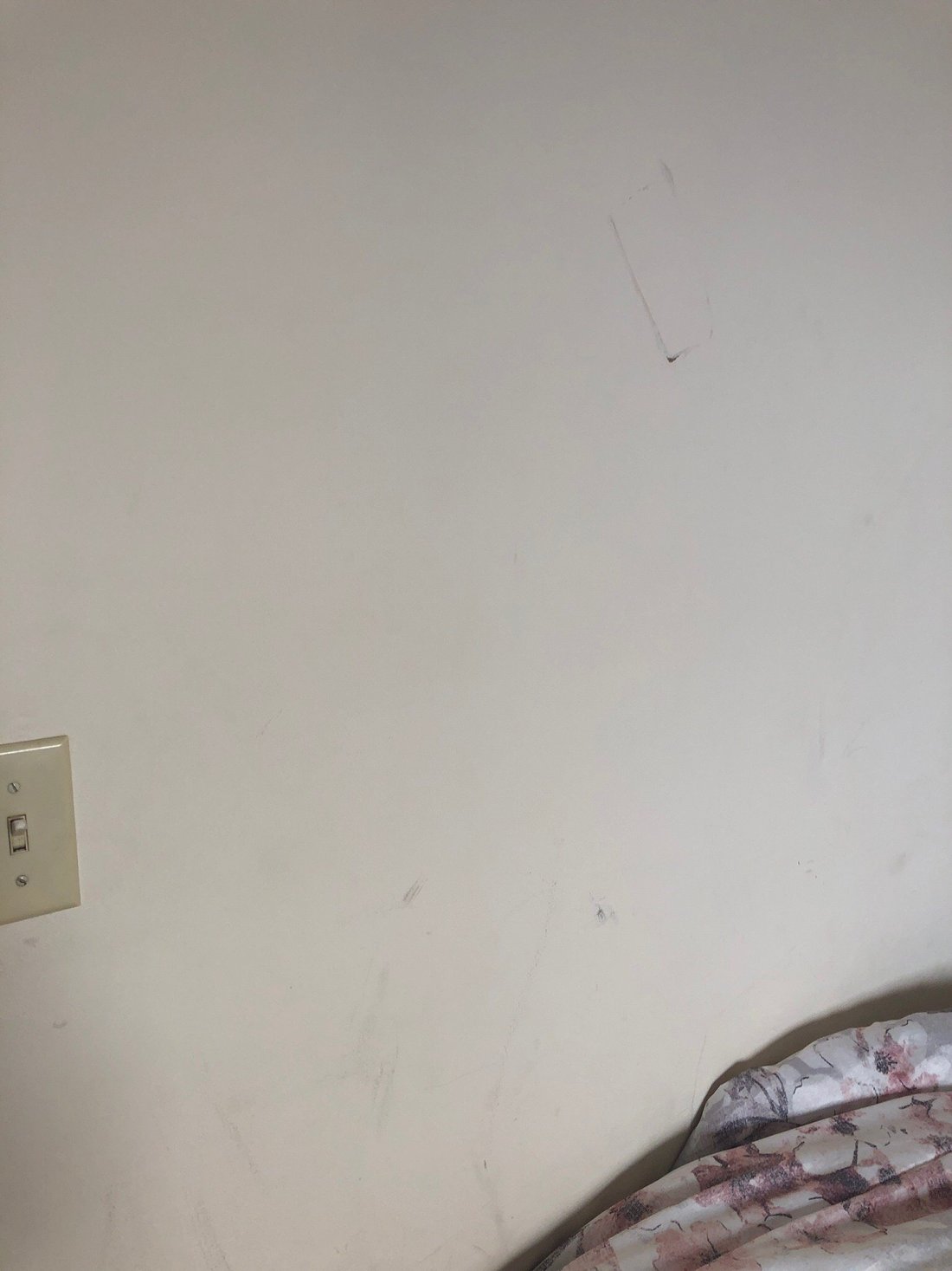 COLTON COURT MOTOR INN Updated 2024 Prices Motel Reviews (Cape May NJ)