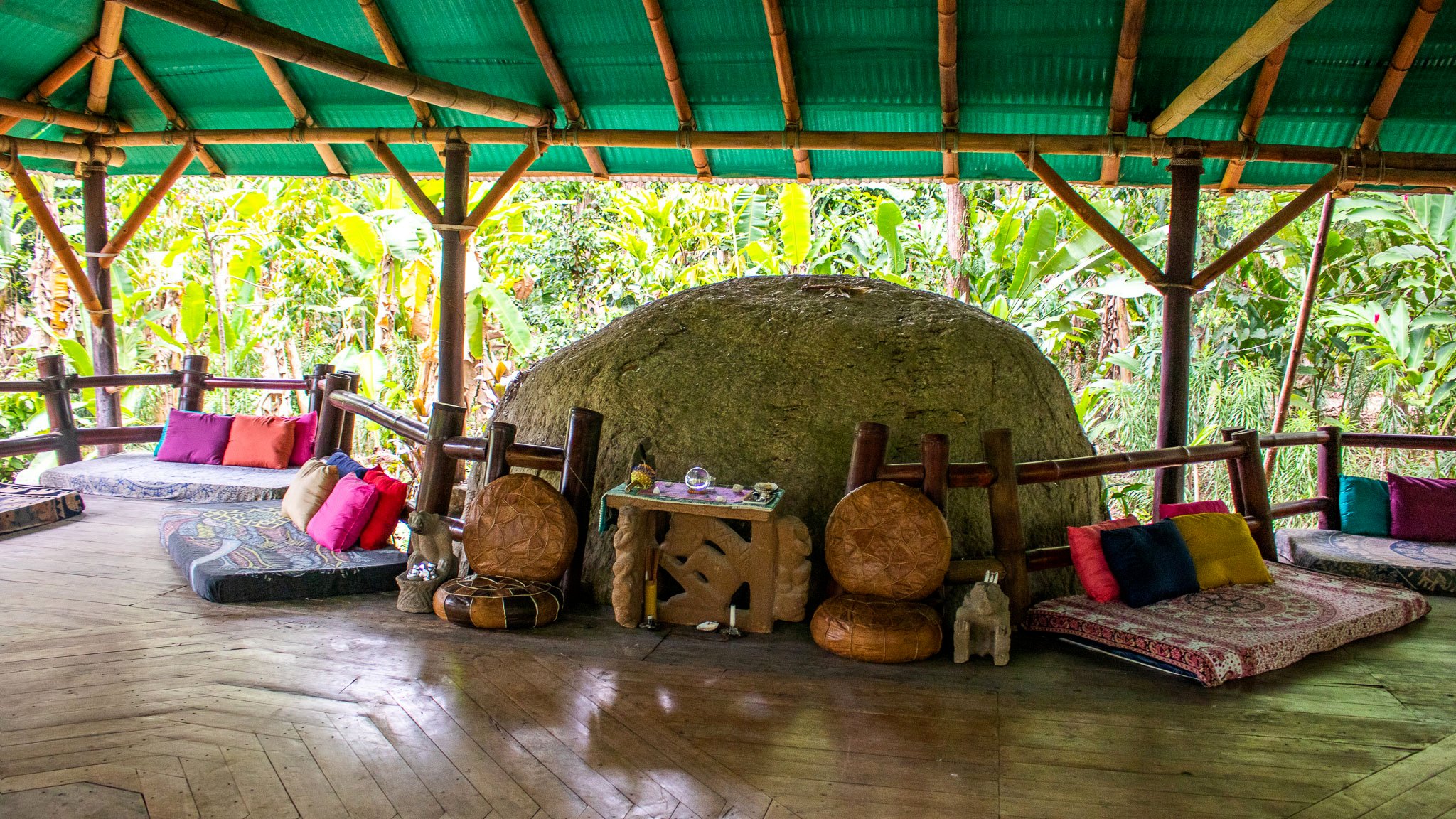 Bearaby | From Japan's forest bathing to Spain's siesta