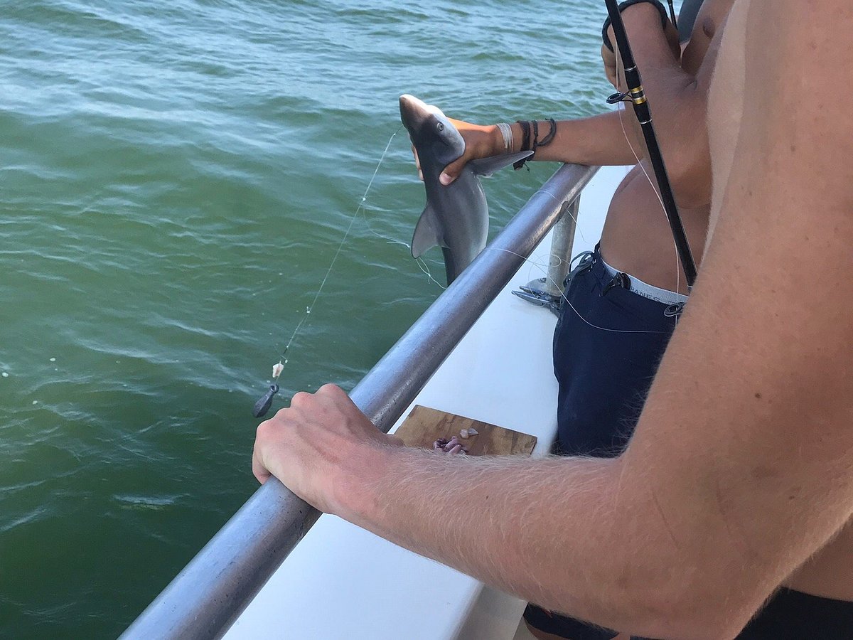 Miss Jennifer Charter Fishing (Cape Charles, VA) anmeldelser