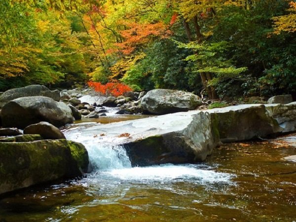 Great Smoky Mountains пешеходная тропа