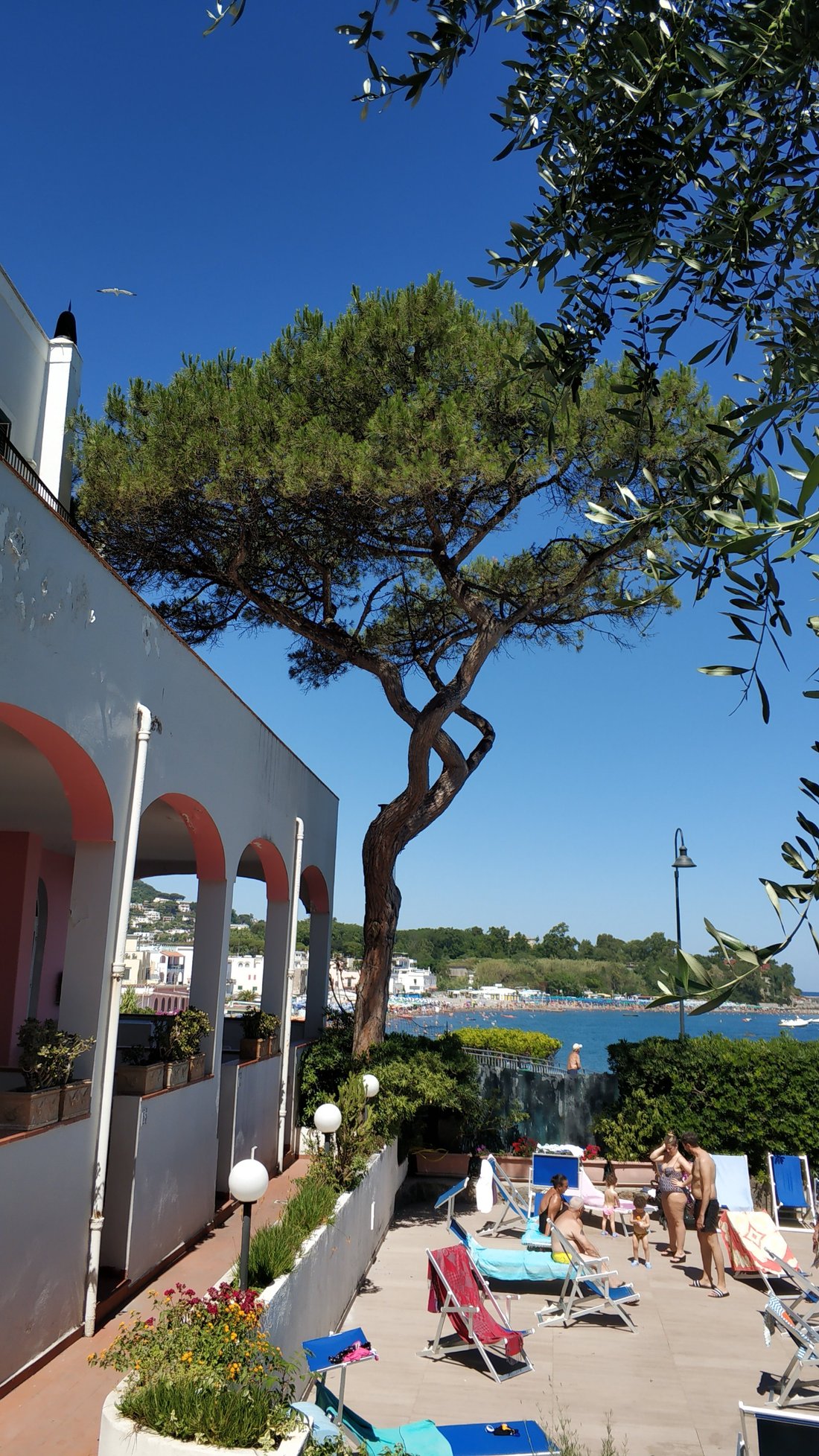 GRAND HOTEL ISCHIA LIDO (Искья-Порто) - отзывы, фото и сравнение цен -  Tripadvisor