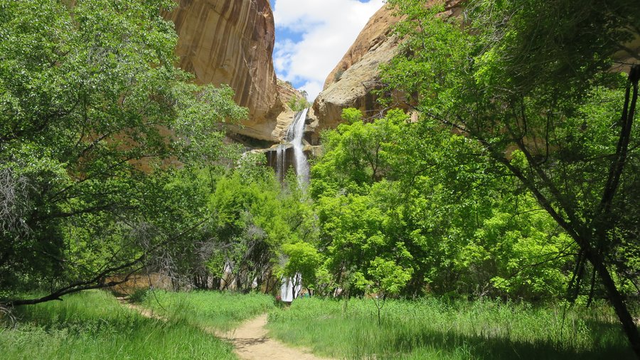 calf creek falls 1