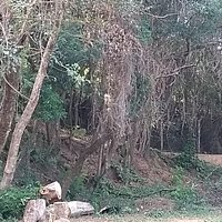 Trilha para caminhar