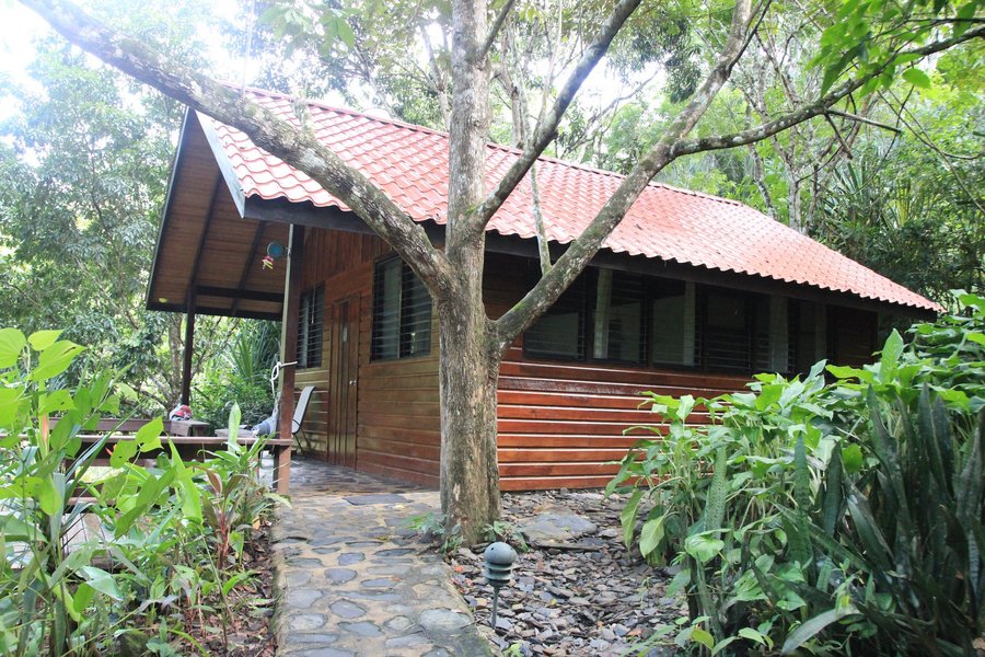 Black Rock Lodge Rooms: Pictures &amp; Reviews - Tripadvisor