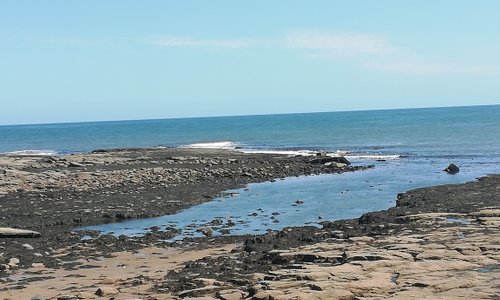 Newbiggin-by-the-Sea 2021  Best Newbiggin-by-the-Sea  England