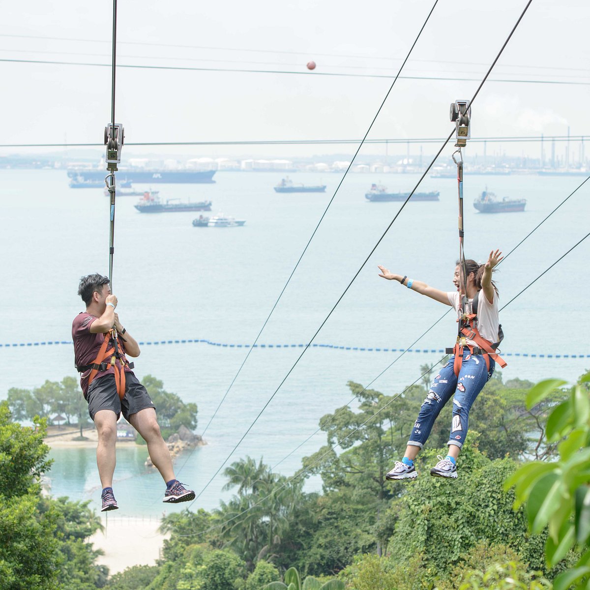 Зиплайн Маврикий. Маврикий ЗИП лайн. Аттракцион зиплайн. Zipline реклама.