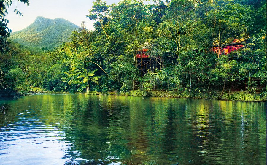 Silky Oaks Lodge Updated 21 Prices Resort Reviews And Photos Mossman Australia Daintree Region Tripadvisor Silky Oaks Lodge Updated 21 Prices Resort Reviews And Photos Mossman Australia Daintree Region Tripadvisor