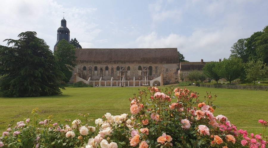 Juste un tout petit aperçu de notre magnifique roseraie..venez la découvrir !