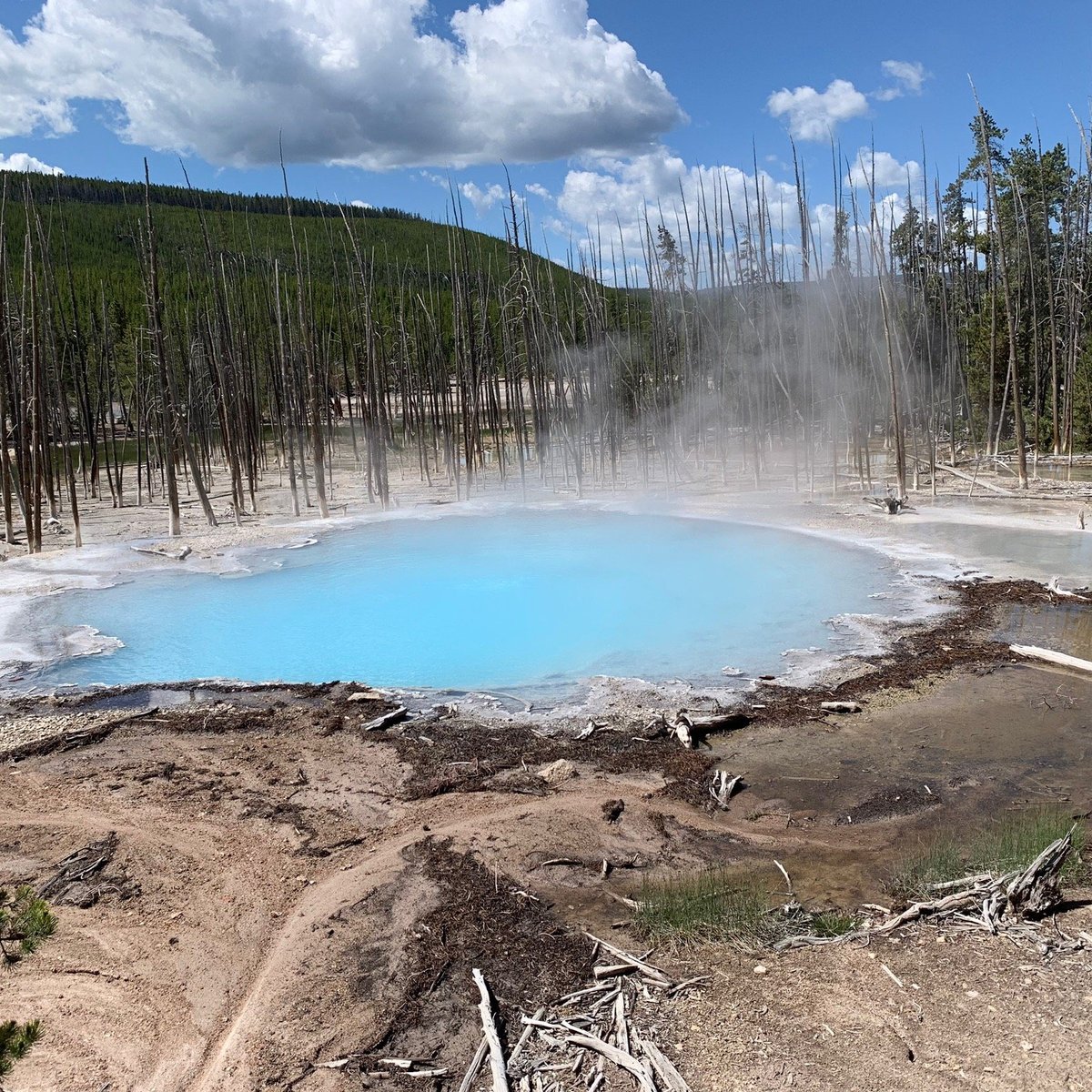 NORRIS GEYSER BASIN (Parc national de Yellowstone) Ce qu'il faut savoir