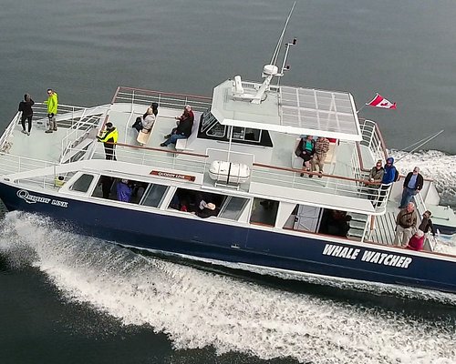 river boat cruises new brunswick