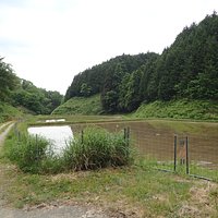 最初はのどかな里山の風景でした。