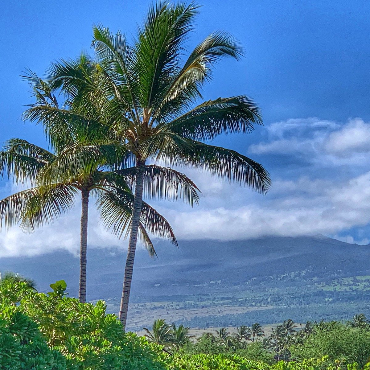 Kikaua Point Park - All You Need to Know BEFORE You Go (2024)