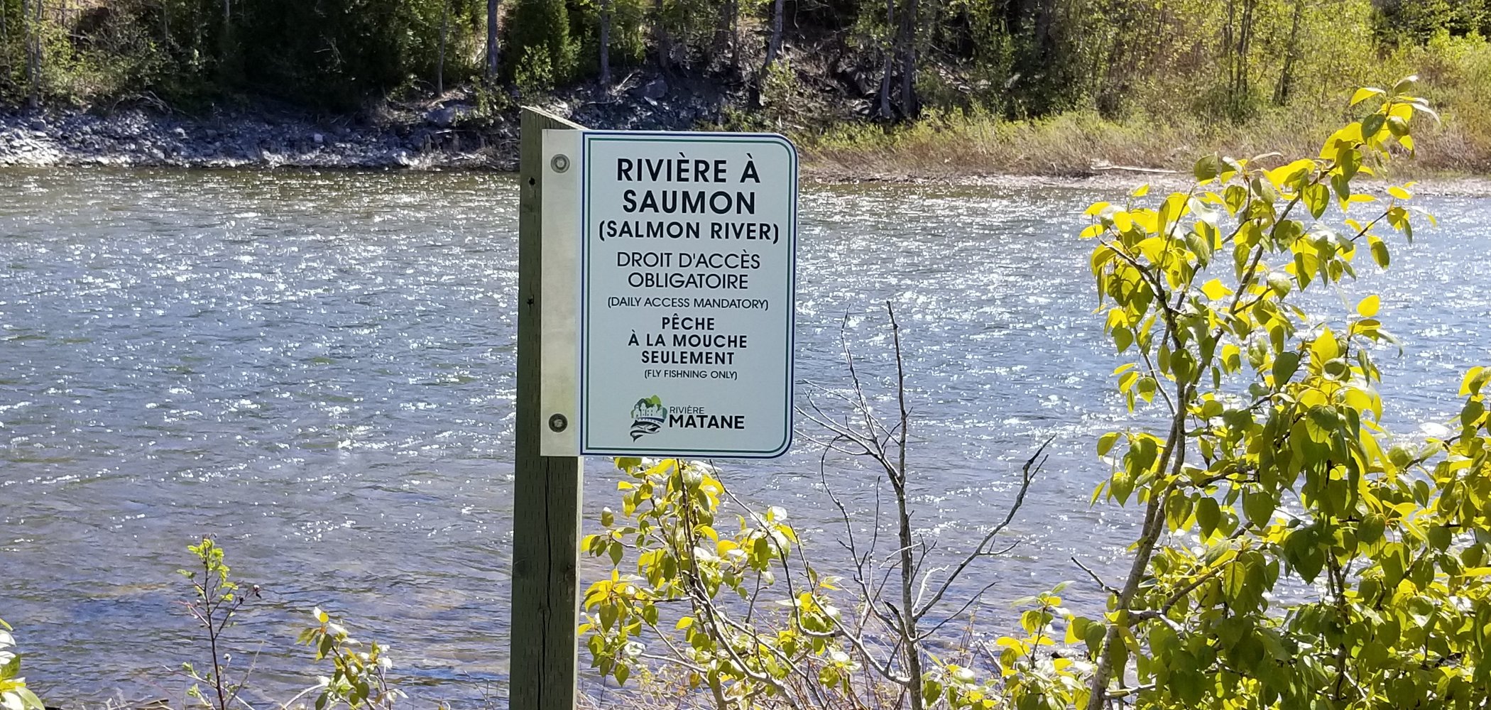 The camping Matane River by null