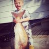 ChasnTailCharters