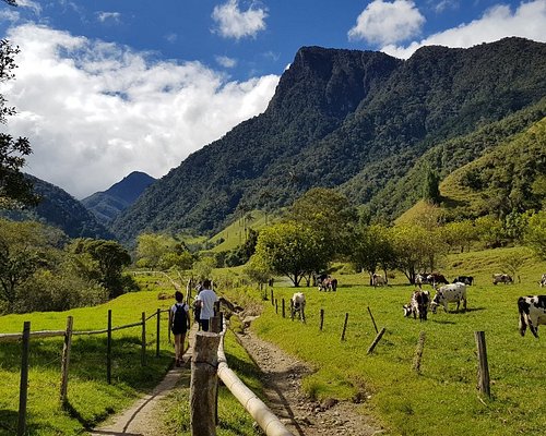 Armenia & the Department of Quindío - Colombia - CHILE TRAVEL GUIDE