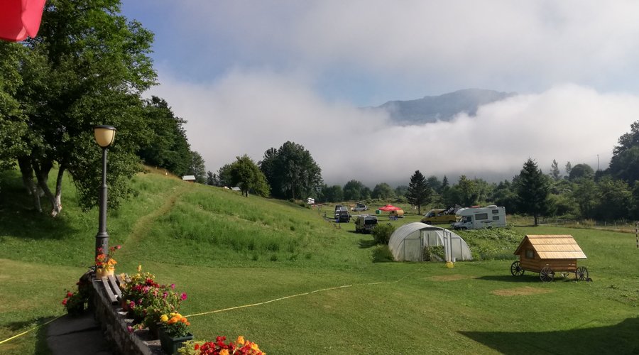 Camp