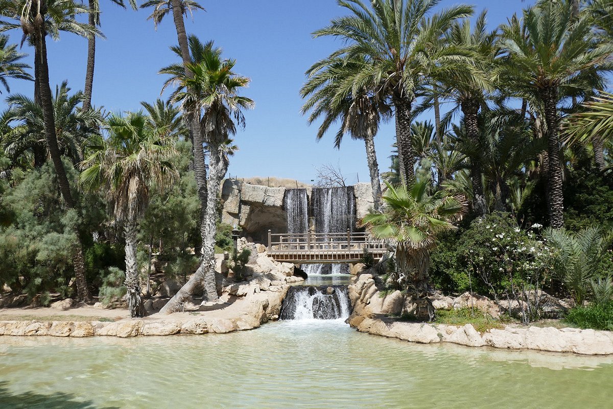 PARQUE EL PALMERAL (Alicante) - 2023 Qué SABER antes de ir