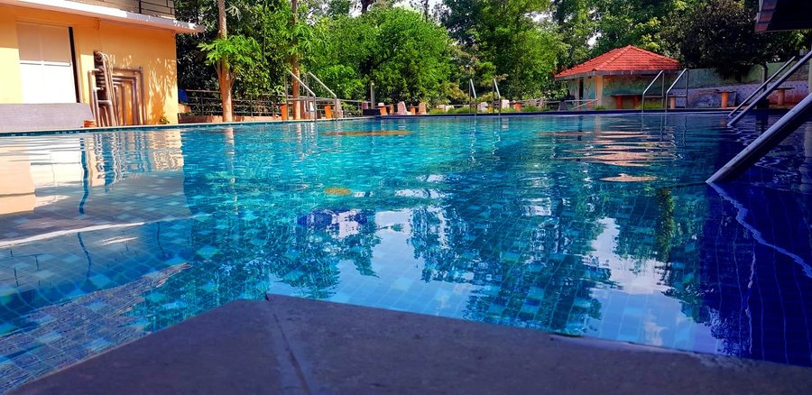 Eagle Eye Resorts Updated 2021 Prices Campground Reviews India Karnataka Chikmagalur Tripadvisor Trivik hotels & resorts, chikmagalur. eagle eye resorts updated 2021 prices