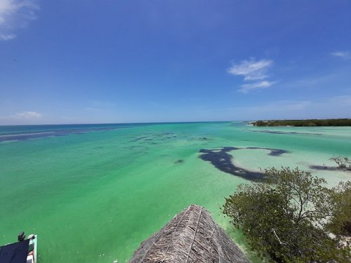 Um lugar secreto em Yucatan - México - Picture of Yucatan, Yucatan  Peninsula - Tripadvisor