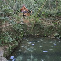 必見スポットです