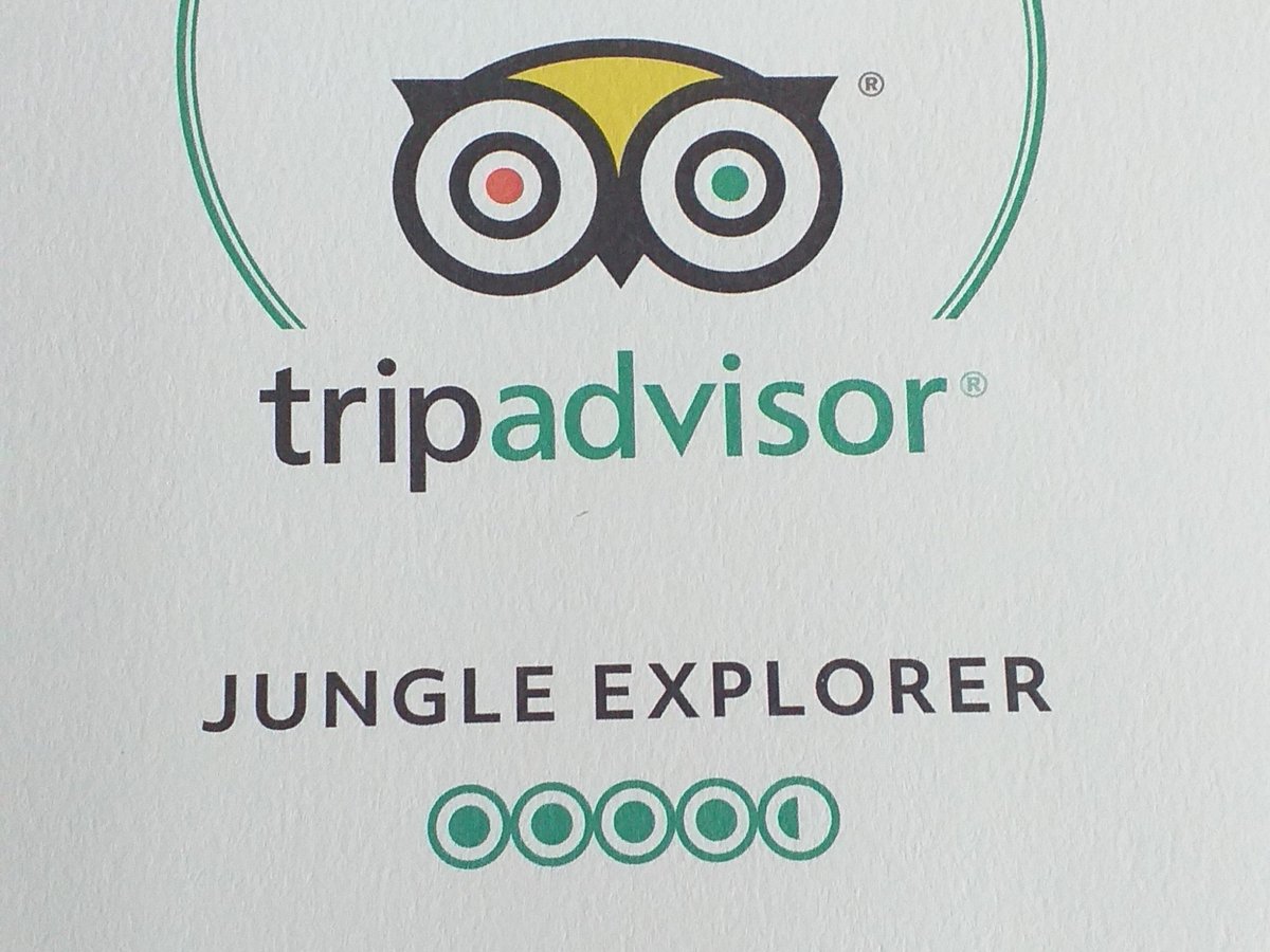 Jungle Explorer Expeditions Iquitos 2023 Lo Que Se Debe Saber Antes De Viajar Tripadvisor 2026