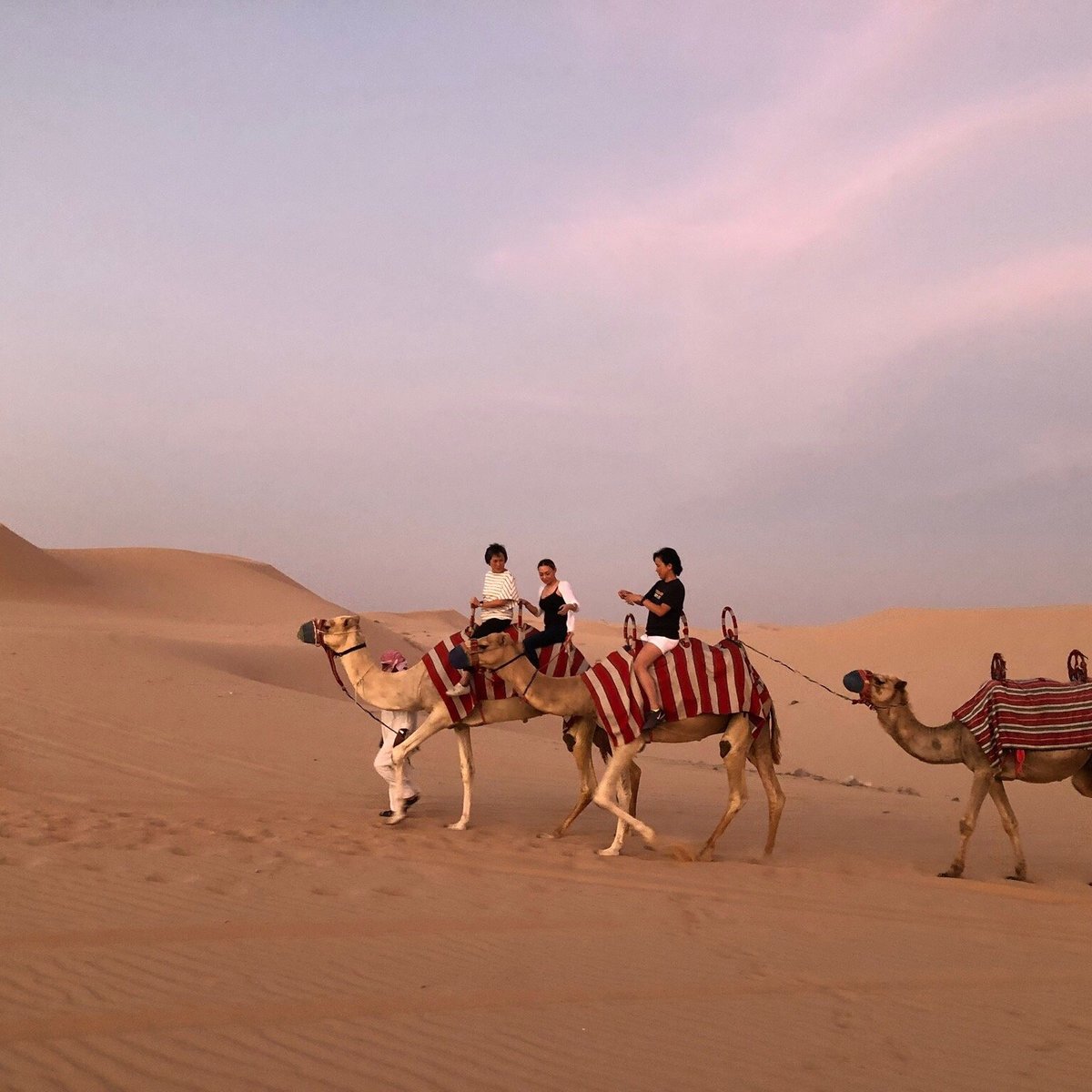 Tripadvisor, 1001 noites árabes: experiência oferecida por Arabian Nights  Tours LLC