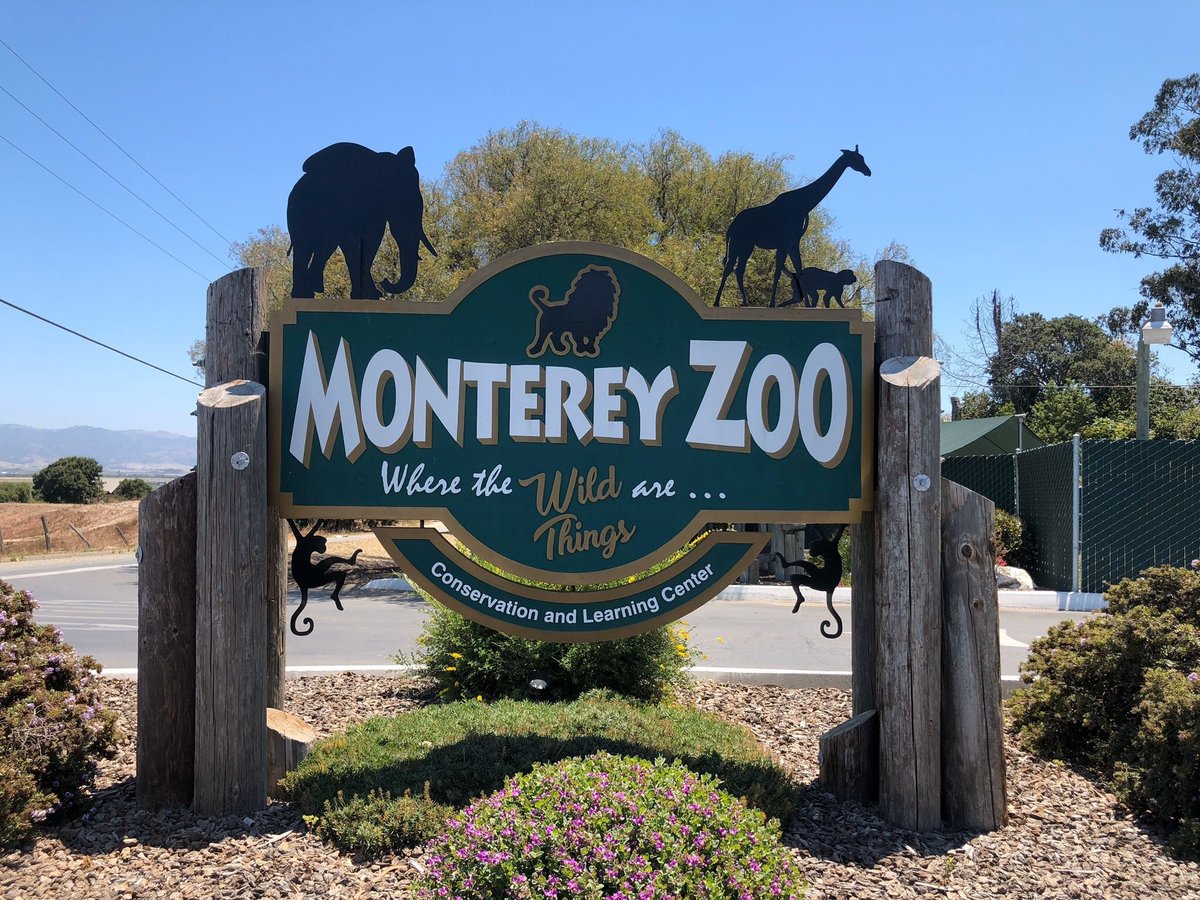 Monterey Zoo (Salinas) - All You Need to Know BEFORE You Go