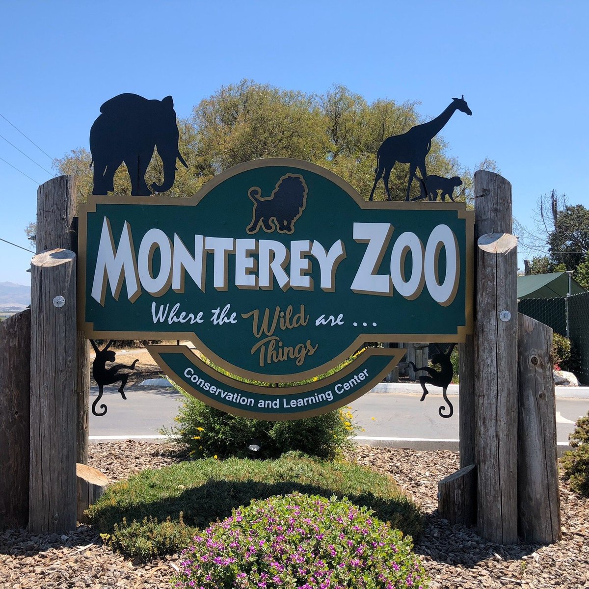 Monterey Zoo - All You Need to Know BEFORE You Go (2025)