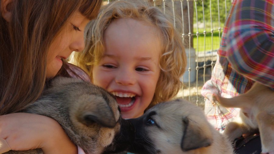 Children 12 and under are welcome to join our staff for a supervised "Puppy Party" during the second half of our presentation. 