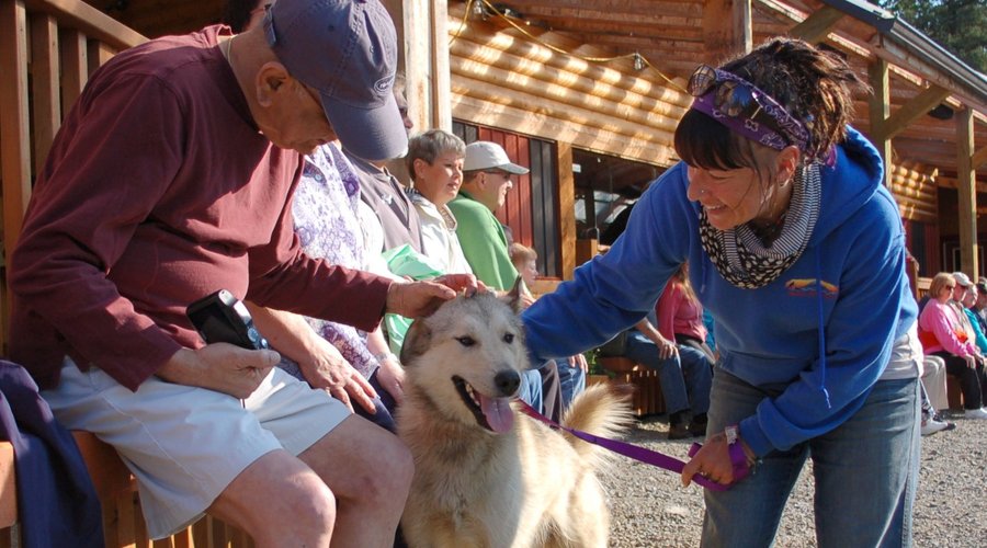 Snap a photo and give a scratch as our staff walks around and adult dog to meet you.