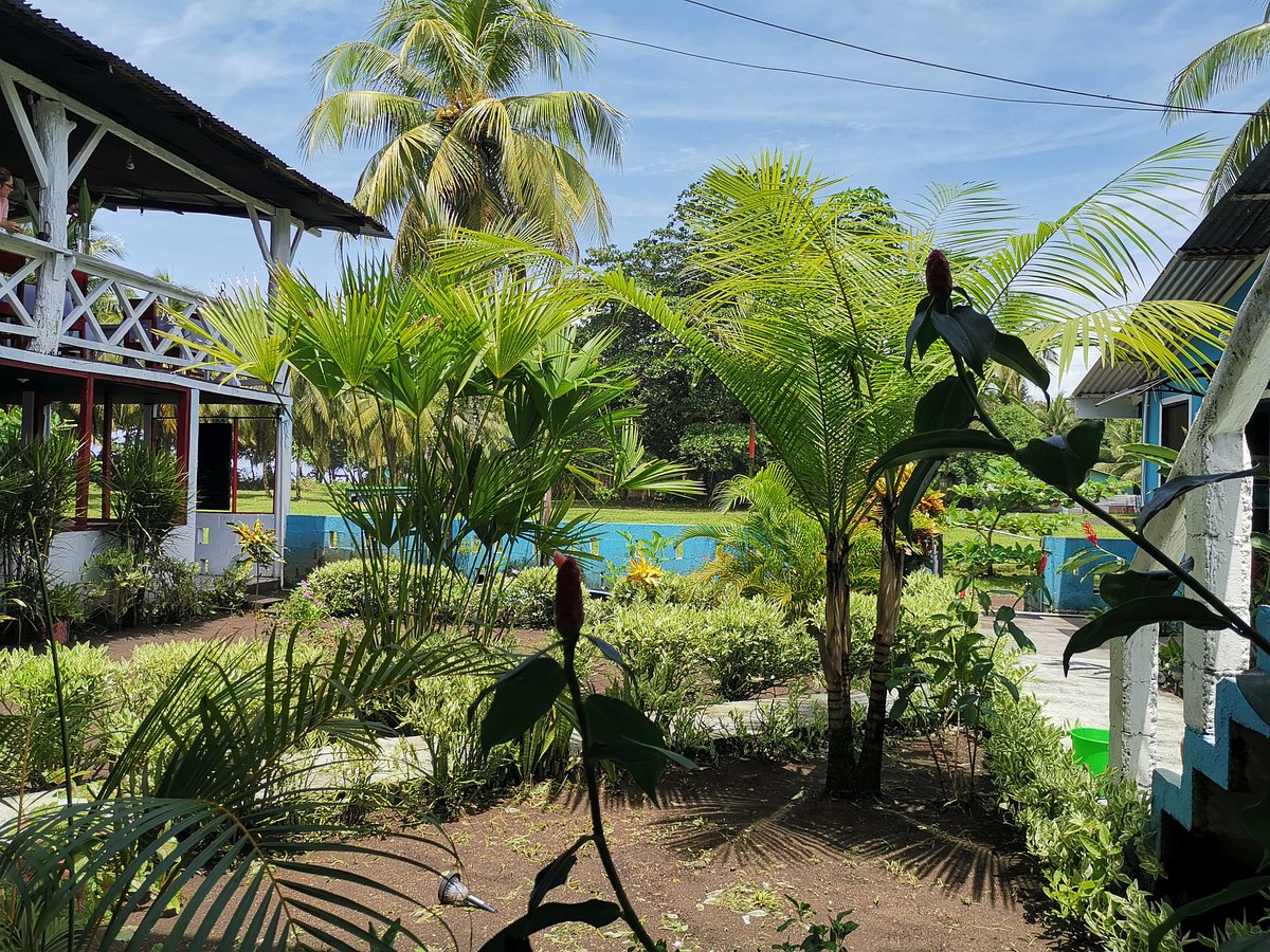 TORTUGA LODGE & GARDENS (TORTUGUERO, COSTA RICA): 1.943 fotos, comparação  de preços e 7 avaliações - Tripadvisor