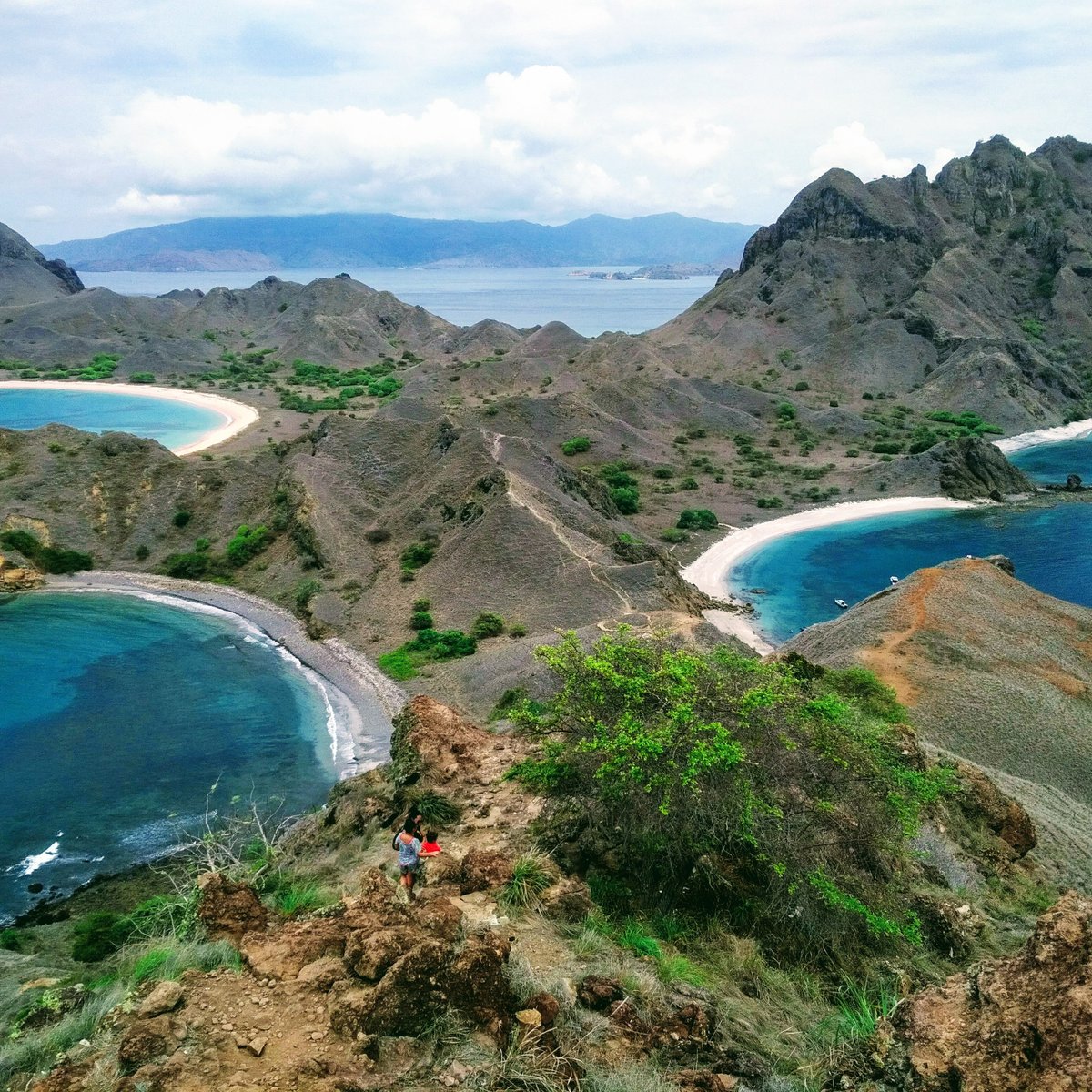 Padar Island (Labuan Bajo) - 2022 All You Need to Know BEFORE 